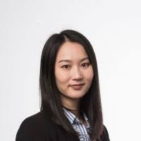 40+ "Ying Sun" profiles