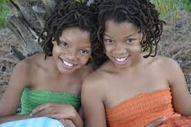 La trama di meet the browns (2008). Upcoming Chloe And Halle Bailey