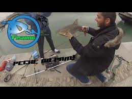 Peche Au Pain N 2 Barbeaux Rotengles Et Gardon Youtube