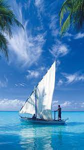 We did not find results for: 61 Sailboat Wallpaper On Wallpapersafari