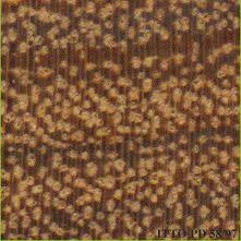 Image result for Petersianthus macrocarpus