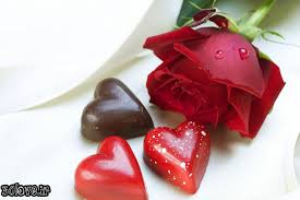 نتيجه تصويري براي گل