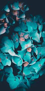 Oct 20, 2021 · when you buy a winston porter herefordshire oriental indoor / outdoor area rug in teal online from wayfair, we make it as easy as possible for you to find out when your product will be delivered. Teal Flowers Wallpapers Wallpaper Cave