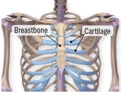 Chest Pain That S Not A Heart Attack Harvard Health