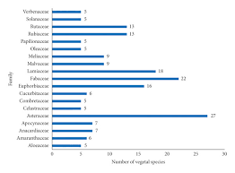 Image result for Aneilema spekei