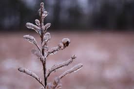 Procedura de majorare capital social este una complexa fiind necesara o atentie sporita mai ales la calcule. Capital Social Contabilitate Fiscalitate Monografii Contabile