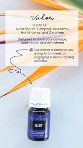 Contact diy youngliving, share young living, resep young living on messenger. 72 Ide Resep Young Living Di 2021 Minyak Esensial Minyak Campuran Minyak Esensial