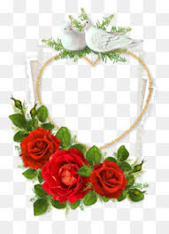 32,080 free images of rose. Love Rose Flower Free Download 960 1280 1 16 Mb