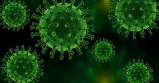 Saiba o que é a cepa indiana do coronavírus. Nova Cepa Do Novo Coronavirus Variante Do Sars Cov 2 Deixa Comunidade Cientifica Brasileira Em Alerta Saude Debate