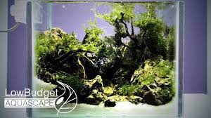 Setelah itu sobat, untuk membantu menurunkan suhu dalam aquarium. Membuat Aquascape Tanpa Filter Co2 Pupuk Dasar Dan Lampu Youtube