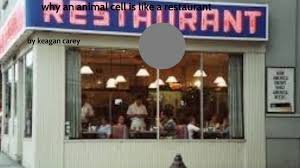 It contains enzymes that accelerate the chemical. Why An Animal Cell Is Like A Restaurant By Keagan Carey