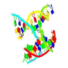 rcsb pdb 6dkl crystal structure of a rationally designed