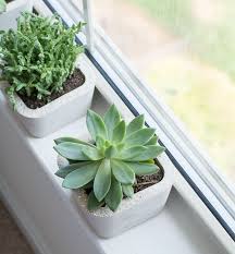 Check out our round indoor cement planter selection for the very best in unique or custom, handmade pieces from our shops. How To Craft Stylish Concrete Planters Of All Shapes And Sizes