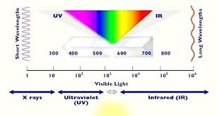 Wavelength Of Light 90degrees Co