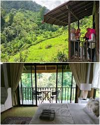 Ant 369 venture is feeling fantastic at saufiville boutique resort, janda baik. 10 Affordable Big Group 6 30 Pax Weekend Retreats In Janda Baik And Bukit Tinggi 1 Hour From Kuala Lumpur With Private Pool For Your Weekend Staycation