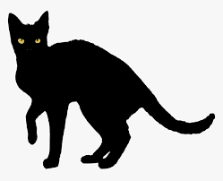 All png & cliparts images on nicepng are best quality. Black Cat Vector Png Transparent Png Transparent Png Image Pngitem