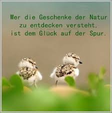 Lass' dich inspirieren von außergewöhnlichen geschenktipps und finde das richtige präsent! Lustige Viel Gluck Prufung Spruche