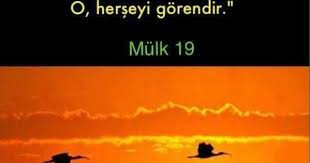 Aleyna Firat Turker Adli Kullanicinin Ayet Panosundaki Pin Dualar Guzel Soz Maneviyat