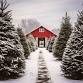 Backroad Boundary 5th Annual Christmas Market event image