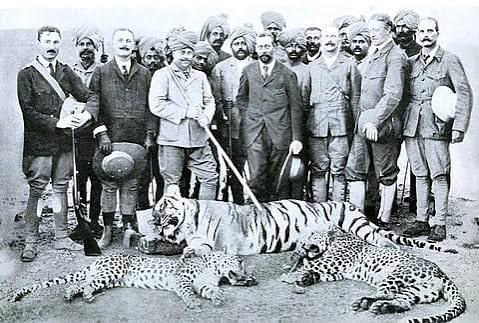 Cheetah: Did India's erstwhile nobility cause its wildlife's downfall? Apply nuance, some say