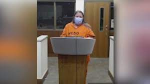 Arizona child murder investigation: Documents give graphic details of abuse against victim