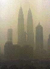 I will not talk much about it. Forest Fires Cause Pollution Crisis In Asia Nature