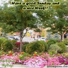 The next morning you will receive a letter in the mail from elliott asking you to meet him on the docks on a sunny morning. Gif Image Popular Nature Good Morning Sunday Gif