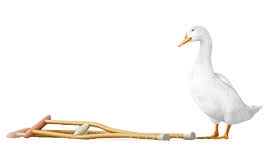 Aflac does not deliver what they promise. Aflac Accident Plans Individual And Group Insurance Shops