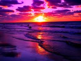 Maybe you would like to learn more about one of these? Purple Summer Beach Sunset Novocom Top