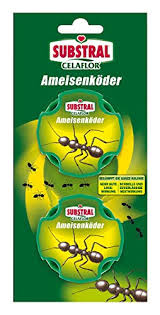 Wo eine ameise auftaucht, egal von welcher art, wird das ameisennest nicht weit entfernt sein. Woher Ameisen Auf Dem Balkon Kommen Und Wie Sie Diese Bekampfen Konnen