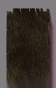 Francisci Cancellieri De secretariis Basilicae vaticanae veteris ac novae  libri II