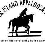VIApHC Horse Show