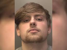 Judge tells teen 'what a heck of an offence to start your criminal career  with'