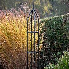 Use to train plants that climb or need support, or place in the garden for simple architectural punch. Garden Gear Metal Obelisk Thompson Morgan