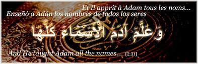 السلام عليكم و رحمة الله تعالى و بركاته Les Adjectifs Possessifs En Arabe Le Possesseur C Est Je أن Les Adjectifs Possessifs Adjectifs Apprendre L Arabe