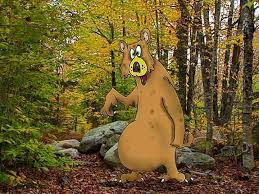 Bear In The Woods Cartoon I Shit Here Forest Forest Bathing Lost In The Woods