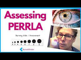 How To】 Test Perrla