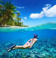 The tour will follow a fun bumpy road towards the eastern lighthouse and the spelonk cave. Die 6 Schonsten Strande Auf Bonaire Der Strandguide Fur Die Abc Insel