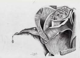 Come Disegnare Fiori Realistici Rosa Con Sfumature Disegno Firmato Come Disegnare Come Disegnare Fiori Disegni Di Rose