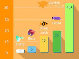 How Long Do Goldfish Really Live Goldfish Aquariums Goldfishlife Goldfish Fun Facts Mind Blowing Facts