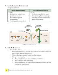 Pada siklus kehidupan sel, benang kromosom tidak ditemukan pada tahap. Jual Buku Ringkasan Materi Dan Latihan Soal Biologi Kelas Xii Sma Ma Kurikulum 2013 Oleh Ulfa Kusumawati S Pd Gramedia Digital Indonesia