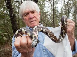 So what should i feed the snake at each stage of growth? Common Non Venomous Snakes In South Carolina Www Scliving Coop