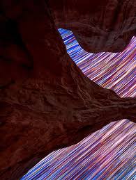 Image result for Stipagrostis uniplumis