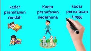 Myguru merupakan portal pembelajaran yang dibina selaras dengan keperluan silibus pelajar tahun 1 hingga tingkatan 5. Kadar Pernafasan Sains Tahun 4 Lessons Blendspace