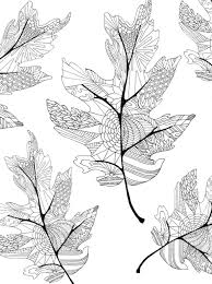 Well, it's because of some simple environmental clues and of. Deer Coloring Page Free Novocom Top