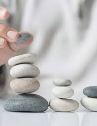 Supplement 2: Evaluation