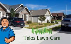 Maybe you would like to learn more about one of these? Contact Telos Lawn Care Hermiston 541 720 1715