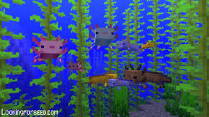 You're an endangered species you've been added into minecraft,whìch will. Everything You Need To Know About Axolotl In Minecraft