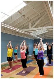 20 Hotdog Yoga Dream Journey Contest Ideas Yoga Yoga Gear Journey