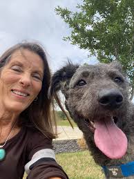 Learning from dog experiences and owners